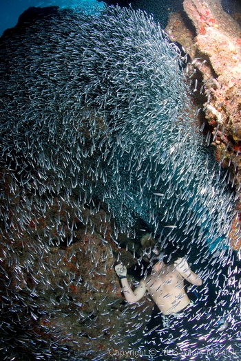 40ft down in a cave free diver