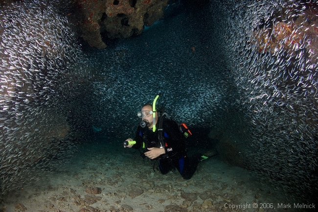 Denis with the Silversides