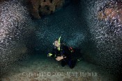 Denis with the Silversides