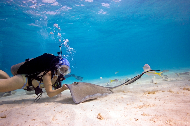 Melissa getting Friendly with a ray