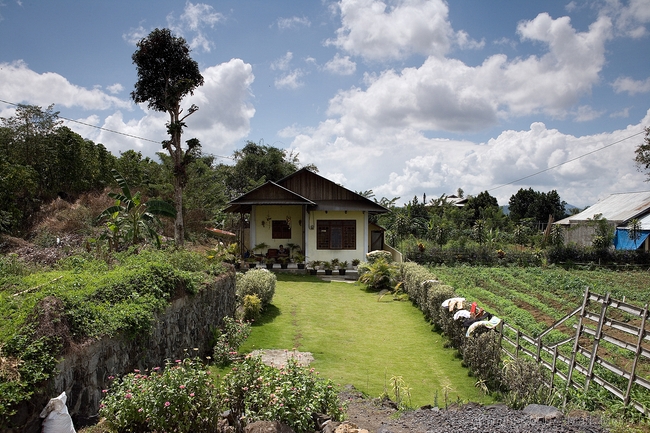 North Sulawesi Market