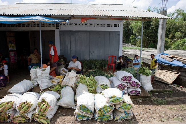 North Sulawesi Market