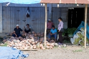 North Sulawesi Market