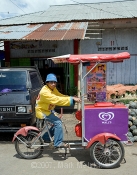 North Sulawesi Market