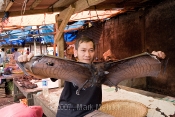 North Sulawesi Market