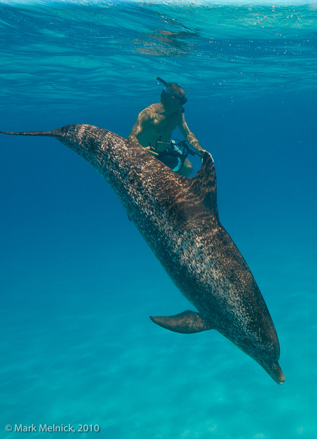 Jim with a Atlantic Dolphin