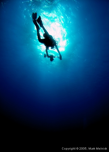 Lone Diver