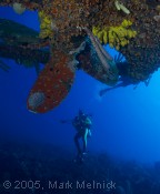 Wide of the Hooker Wreck